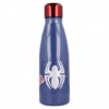 Rvs Kids Bottle Spiderman